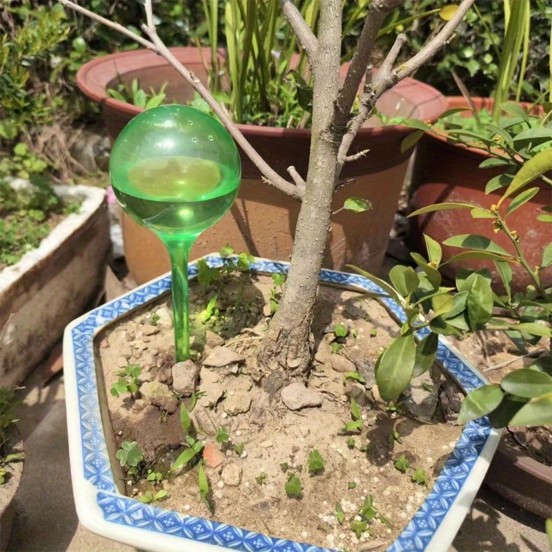 Set di 6 Palline Autoirriganti - Smart Garden Auk recensione e prezzo